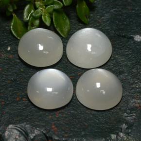 8.31 ctw White Moonstone Stones, Natural Moonstone in Round Cabochon Shape for Sale