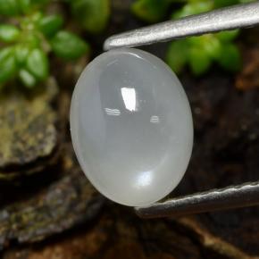 1.4ct Oval Cabochon Cream Moonstone for sale thumb image of 1.4ct Oval Cabochon Cream Moonstone (ID: 480268)