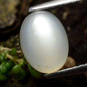 1.5ct Oval Cabochon Cream Moonstone Gem for sale 1.5ct Oval Cabochon Cream Moonstone Gem (ID: 480306)