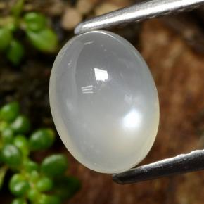 1.53 ct White Moonstone Gemstone, Moonstone Gem in Oval Cabochon Shape for Sale.