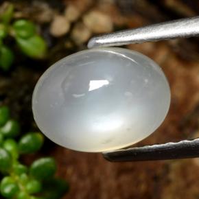 1.53 ct White Moonstone Stone, Natural Moonstone in Oval Cabochon Shape for Sale