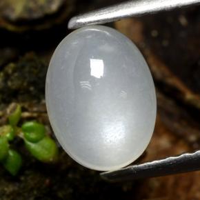 cream moonstone 1 5ct oval from india gemstone