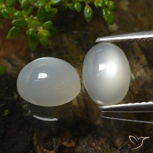 Warm White Moonstone Gem - 1.6ct Oval Cabochon (ID: 480310)