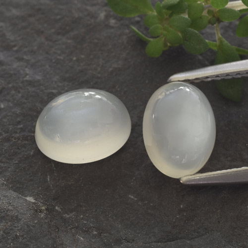 Translucent White Лунный Камень Камень - 1.6ct Овал Кабошон (ID: 480383)