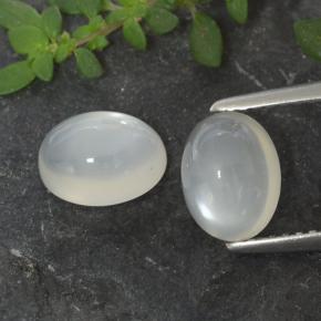 Blanco translúcido Piedra de Luna Gema - 1.6ct Cabujón Óvalo (ID: 480386)