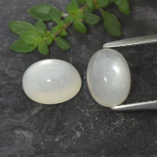 Translucent White Moonstone Gem - 1.7ct Oval Cabochon (ID: 480389)