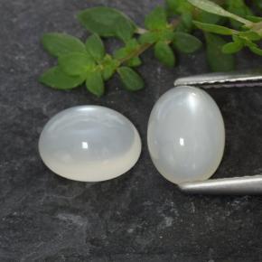 Blanc translucide Pierre de Lune gemme - 1.4ct Ovale Cabochon (ID: 480391)