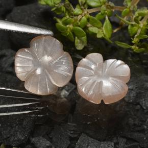 Very Light Brown Moonstone Gem - 1.7ct Carved Flower (ID: 485133)