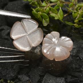 Moonstone Gemstones in 8.9 x 8.9 mm Size for Sale, Moonstone Stones in Very Light Brown Color