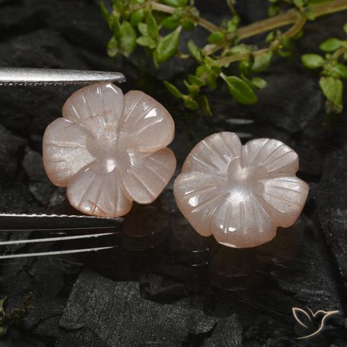 6.87 ct Brown Moonstone, 11.5 x 11.1 mm Carved From India, Photo A