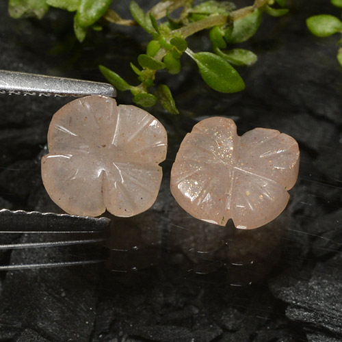 Passendes Paar 7,6x7,5 mm Geschnitzte Blume blumenschliff Mondstein, Gewicht von insgesamt 2,08 ct/Durchschn. je 1,04 ct, passendes Mondstein-Paar in Translucent Reinheit in Sehr helles Braun Farbe, Garantiert natürliche Edelsteine, Mohs-Härte 6 - 6,5, Photo A