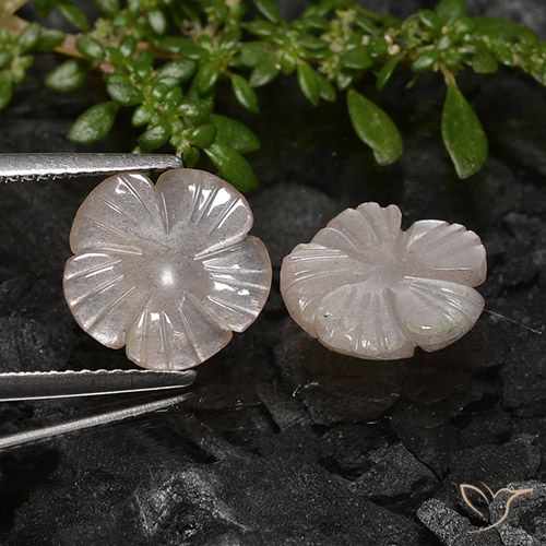 4.91ctw Natural Light Peanut Brown Moonstone, Flower Cut, Translucent