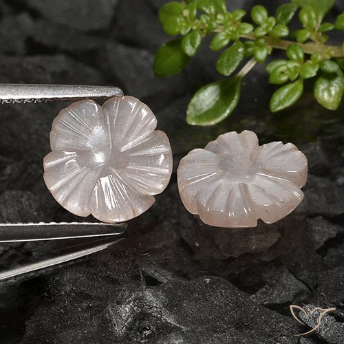 4.41ctw Natural Light Caramel Brown Moonstone, Flower Cut, Translucent