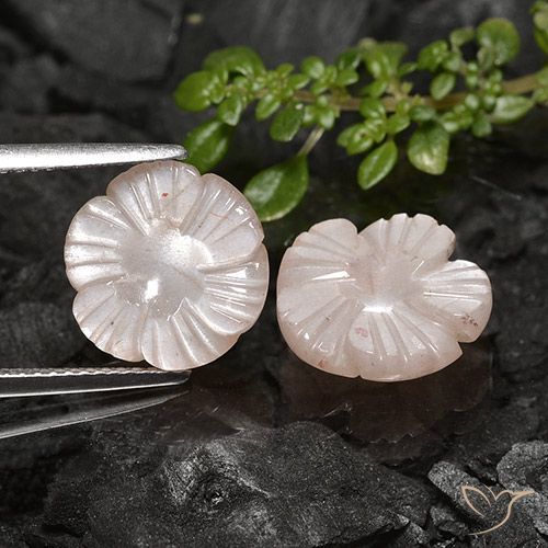 7.56ctw Natural Very Light Brown Moonstone, Flower Cut, Translucent
