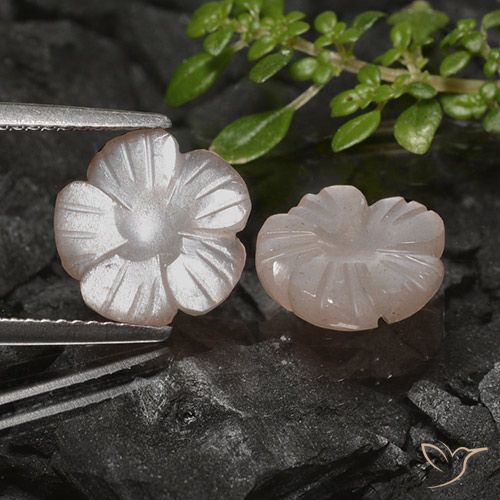 4.83 ct Brown Moonstone, 10.7 x 10.5 mm Carved From India, Photo A