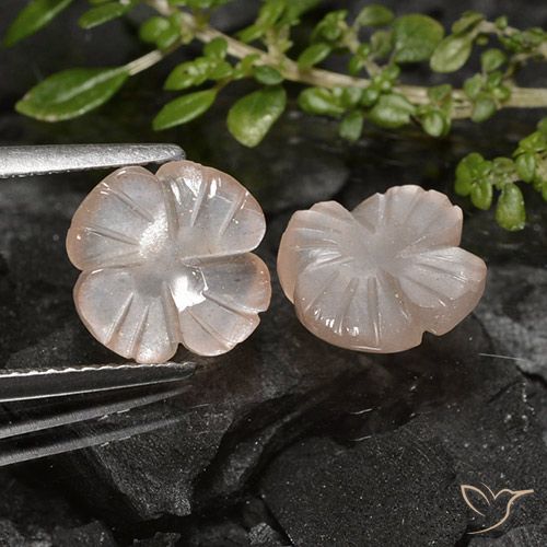 4.26 ct Brown Moonstone, 9.9 x 9.8 mm Carved From India, Photo A