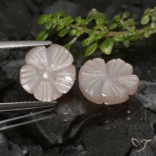 6.44ctw Natural Pale Brown Moonstone, Flower Cut, Translucent