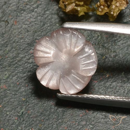 3 ct Brown Moonstone, 10.4 x 10.2 mm Carved From India, Photo A