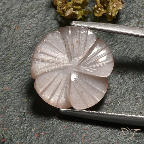 6.77ct Natural Light Caramel Brown Moonstone, Flower Cut, Translucent