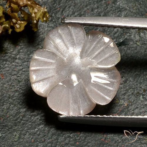 3.77 ct Brown Moonstone, 12.8 x 12.8 mm Carved From India, Photo A