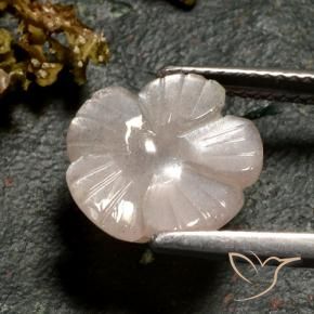 Moonstone Gemstone in 13 x 13 mm (calibrated) Size for Sale, Moonstone Stone in Light Caramel Brown Color