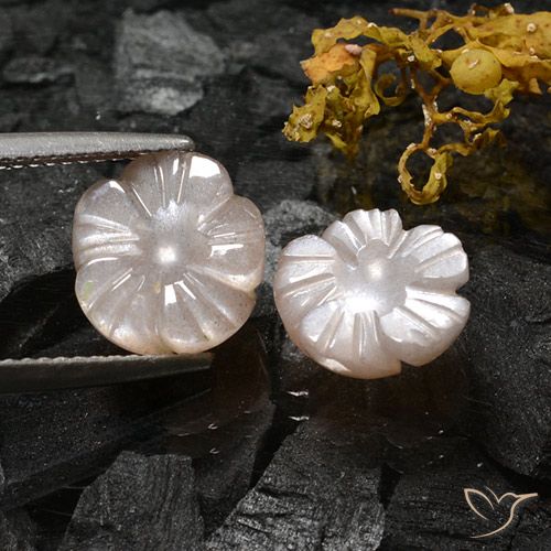 6.16ctw Natural Very Light Brown Moonstone, Flower Cut, Translucent