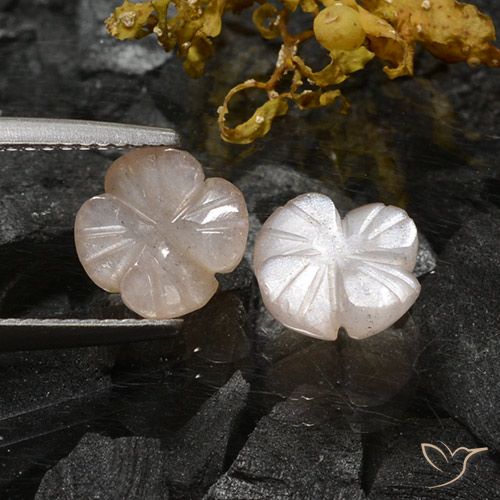 3.06ctw Natural Very Light Brown Moonstone, Flower Cut, Translucent, Photo A