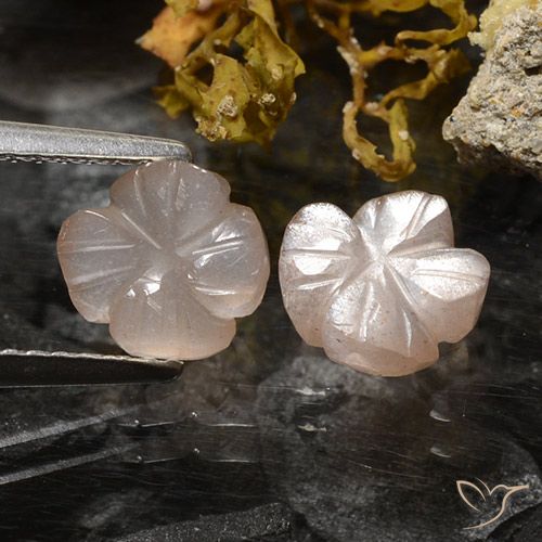 2.36ctw Natural Very Light Brown Moonstone, Flower Cut, Translucent