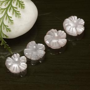 1.6ct Carved Flower Mocha Moonstone Gem for sale 1.6ct Carved Flower Mocha Moonstone Gem (ID: 485234)