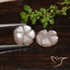 Moonstone Gemstones in 10.4 x 10.1 mm Size for Sale, Moonstone Stones in Light Caramel Brown Color