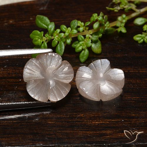 7.33ctw Natural Very Light Brown Moonstone, Flower Cut, Translucent