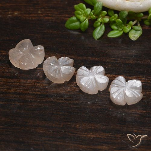 4.06ctw Natural Very Light Brown Moonstone, Flower Cut, Translucent