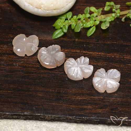 4.30ctw Natural Light Caramel Brown Moonstone, Flower Cut, Translucent
