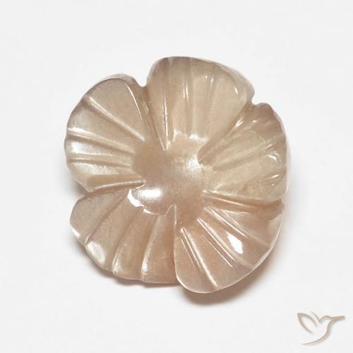 4.14ct Natural Very Light Brown Moonstone, Flower Cut, Translucent
