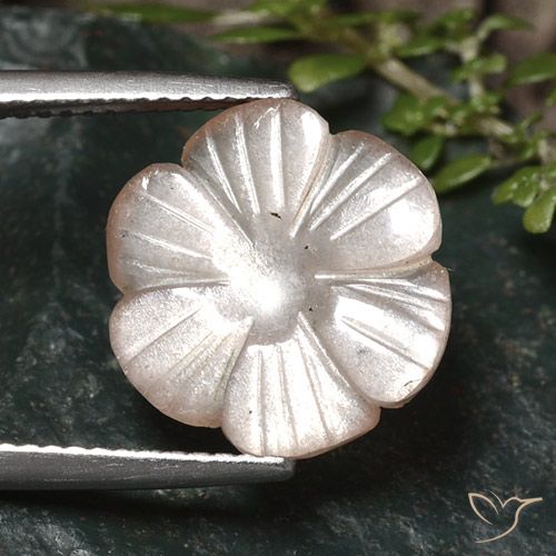 5.24ct Natural Very Light Brown Moonstone, Flower Cut, Translucent