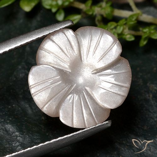 6.68 ct Brown Moonstone, 13.8 x 13.7 mm Carved From India, Photo A