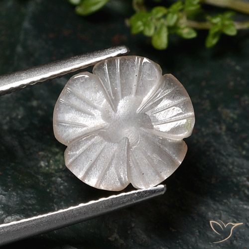 2.76ct Natural Very Light Brown Moonstone, Flower Cut, Translucent