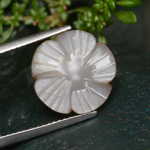 Very Light Brown Лунный Камень Камень - 5.3ct Фигурка Цветок (ID: 485322)