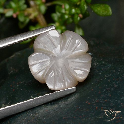 3.25ct Natural Very Light Brown Moonstone, Flower Cut, Translucent