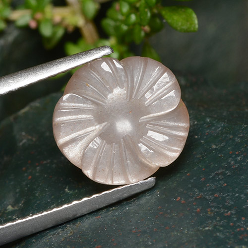 Naranja claro Piedra de Luna Gema - 4ct Flor tallada (ID: 485325)