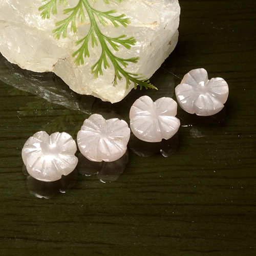 Very Light Pink Лунный Камень Камень - 1.4ct Фигурка Цветок (ID: 485368)