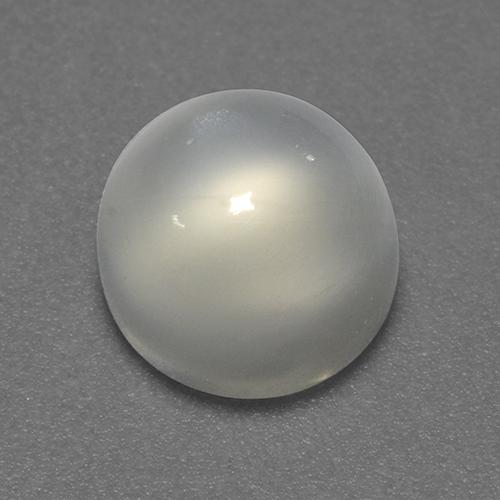 Warm White Moonstone Gem - 1.9ct Round Cabochon (ID: 520139)