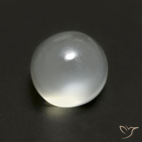 Warm White Moonstone Gem - 1.8ct Round Cabochon (ID: 558539)
