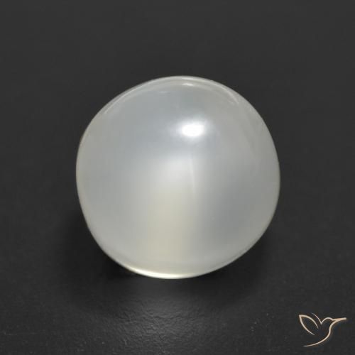 Translucent White Moonstone Gem - 2ct Round Cabochon (ID: 558542)