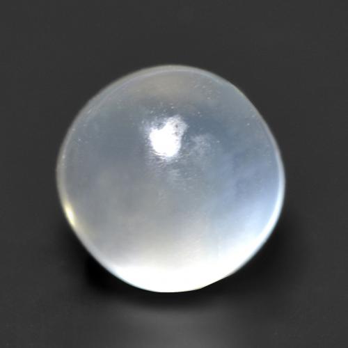 Translucent White Moonstone Gem - 1.3ct Round Cabochon (ID: 559184)