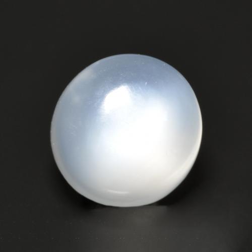 Translucent White Moonstone Gem - 1.5ct Round Cabochon (ID: 559187)