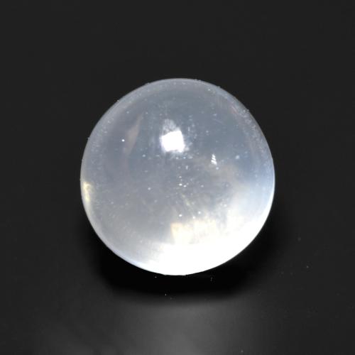 Translucent White Moonstone Gem - 1.6ct Round Cabochon (ID: 559191)