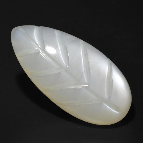 20.15ct Fancy Translucent White Moonstone from India, Dimension 27.7 x 13.5mm, Natural untreated Gemstone, Translucent Clarity, 1pc Carved Leaf Moonstone, Mohs Hardness of 6 - 6.5, Photo A