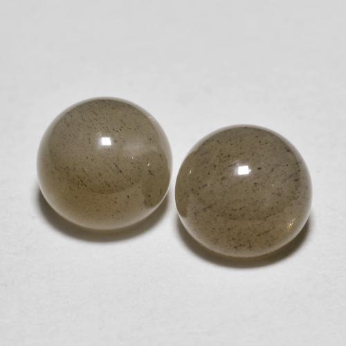 Espresso Brown Moonstone Gem - 0.6ct Round Cabochon (ID: 585070)