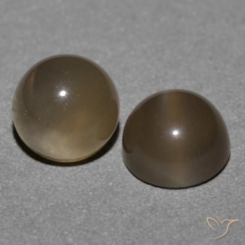 1.21 ctw Brown Moonstone Stones, Natural Moonstone in Round Cabochon Shape for Sale